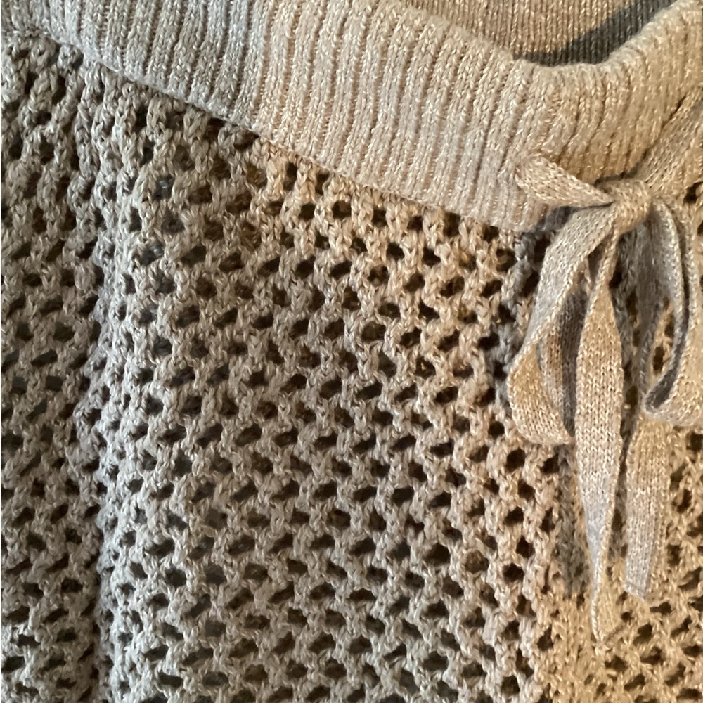 Abercrombie & Fitch Tan Crochet Shorts (PRICEDROP) - Picture 4 of 5